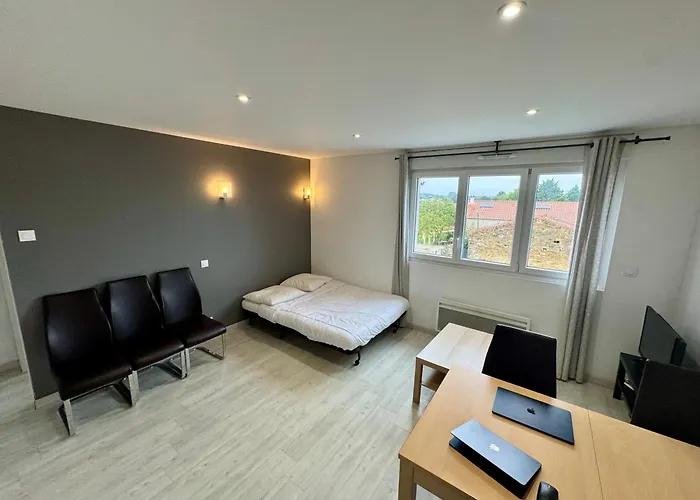 Domaine Des 5 Roses - Rose Sombre Appartement La Guierche